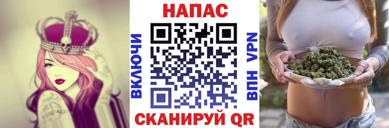 где купить наркоту Новороссийск Бошки Шишки гибрид